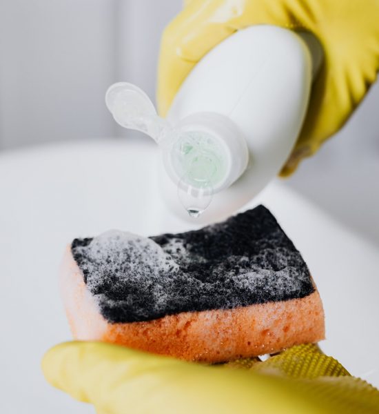 pexels-karolina-grabowska-4239117